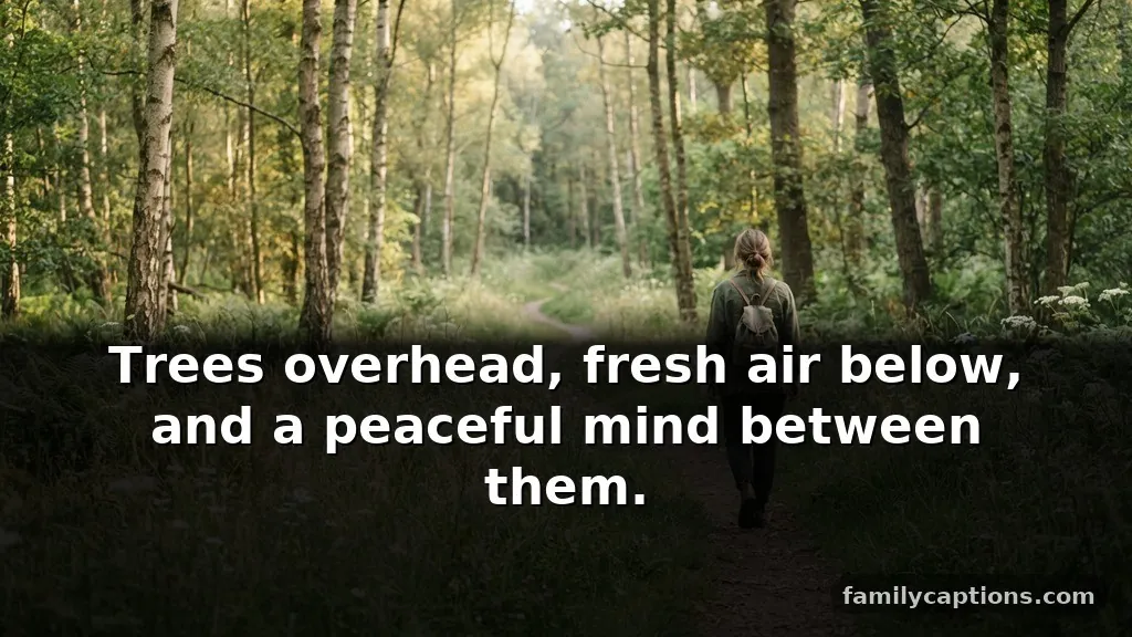 Nature simplicity captions for instagram during a quiet walk outdoors